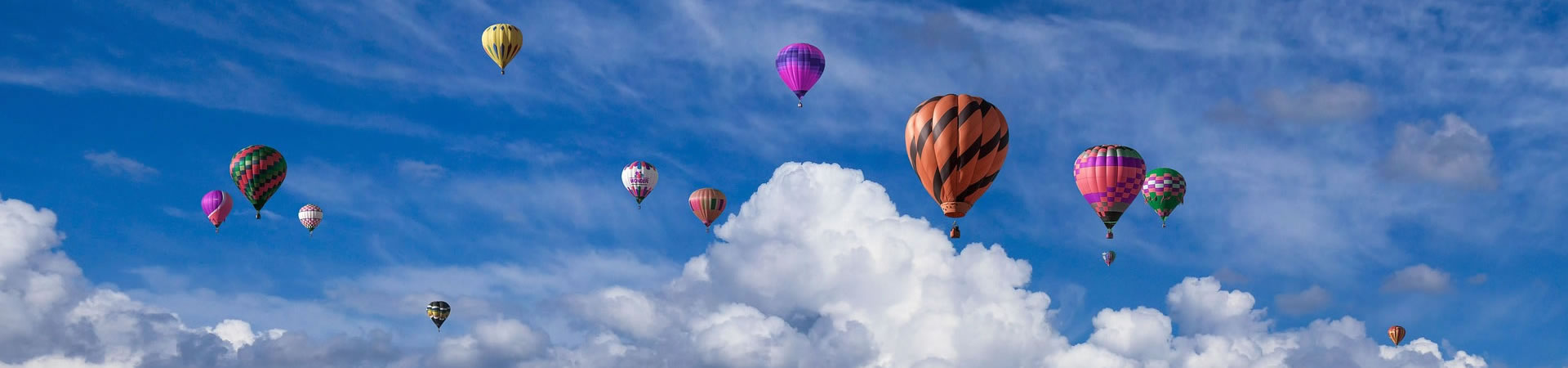 长兴开元芳草地怎么玩介绍